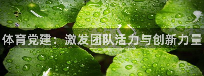 米兰体育官网下载是干嘛的公司：体育党建：激发团队活力
