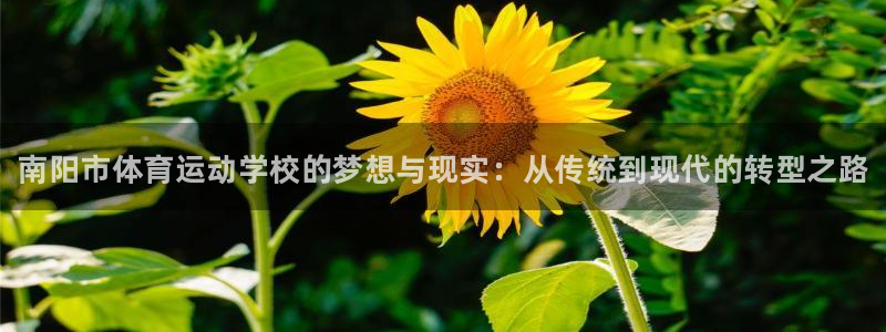 米兰体育官方正版app娱乐是那个系列的台子：南阳市体
