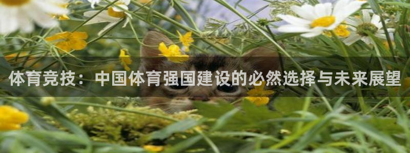 米兰体育官网下载招商电话号码是多少啊：体育竞技：中国