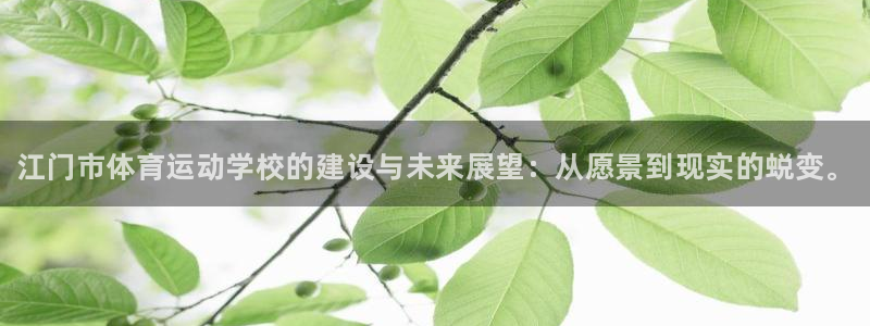 米兰体育官网下载招商电话地址：江门市体育运动学校的建设与未来