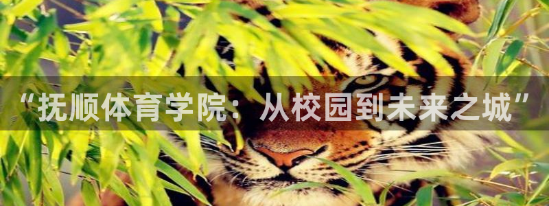 米兰体育官方正版app神州：“抚顺体育学院：从校园到