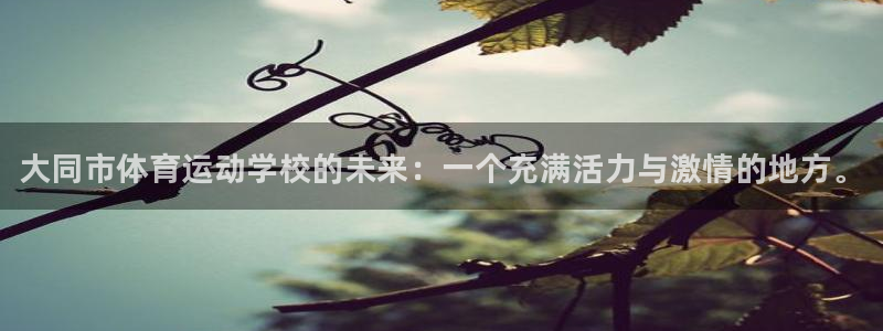 米兰体育官方正版app娱乐首页网站大全：大同市体育运