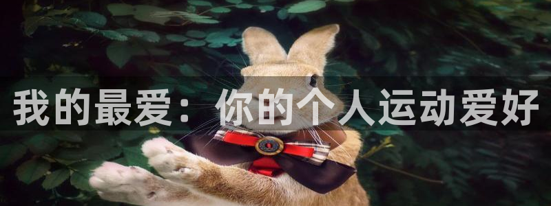 米兰体育官网下载招商电话号码查询：我的最爱：你的个人