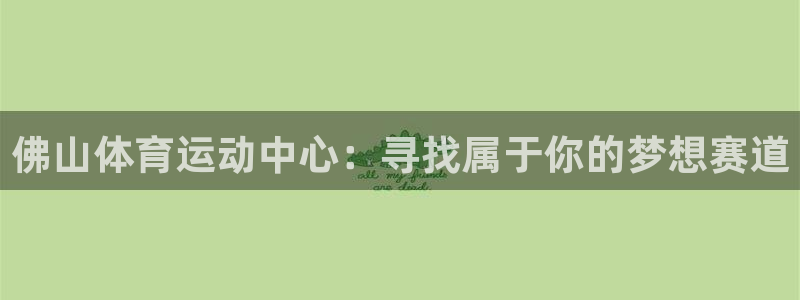 米兰体育官方正版app集团简介：佛山体育运动中心：寻
