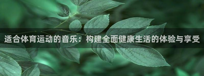米兰体育官方集团官网：适合体育运动的音乐：构建全面健