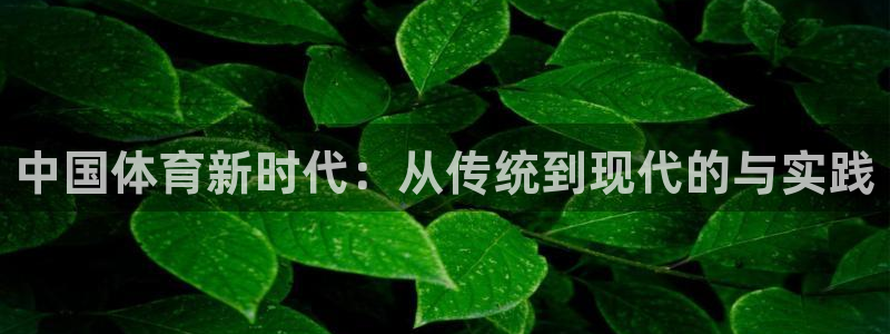 米兰体育官网下载：中国体育新时代：从传统到现代的与实