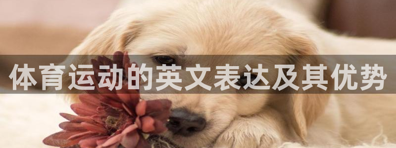 米兰体育法人代表是谁：体育运动的英文