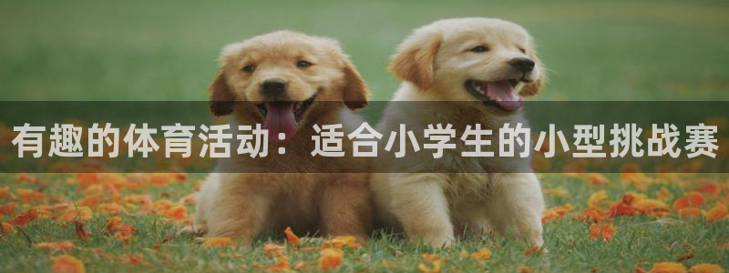 米兰体育场英文：有趣的体育活动：适合