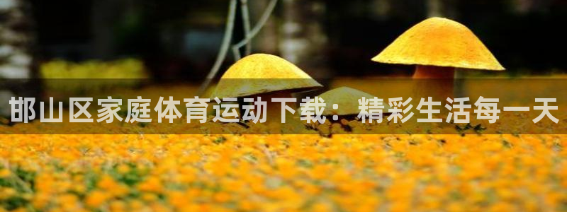 米兰体育报算小报：邯山区家庭体育运动