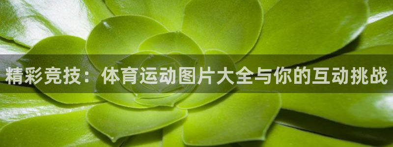 米兰体育最新：精彩竞技：体育运动图片