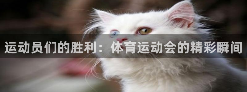 米兰体育报国米：运动员们的胜利：体育