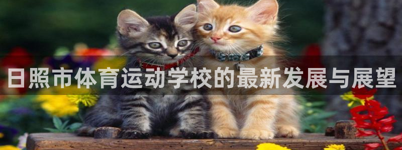 米兰体育入口官网下载：日照市体育运动