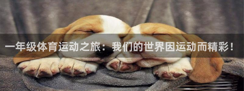米兰体育可信度怎么样：一年级体育运动
