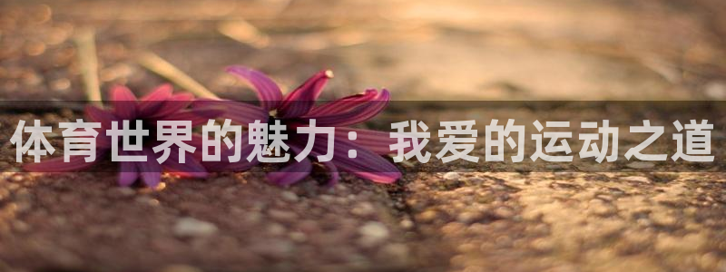 米兰体育官方正版app科技：体育世界的魅力：我爱的运动之道
