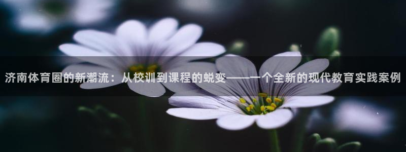 海南米兰体育官网下载发展怎么样：济南体育圈的新潮流：从校训到