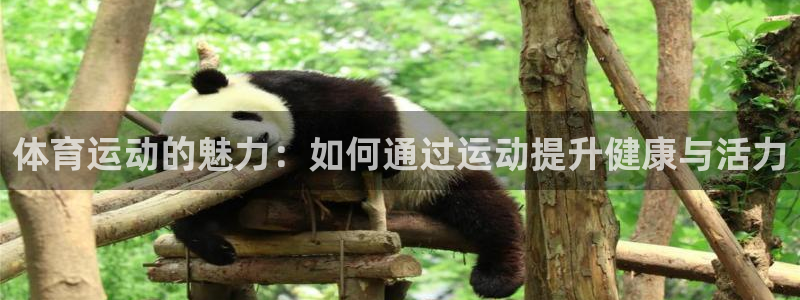 注册米兰体育官方正版app